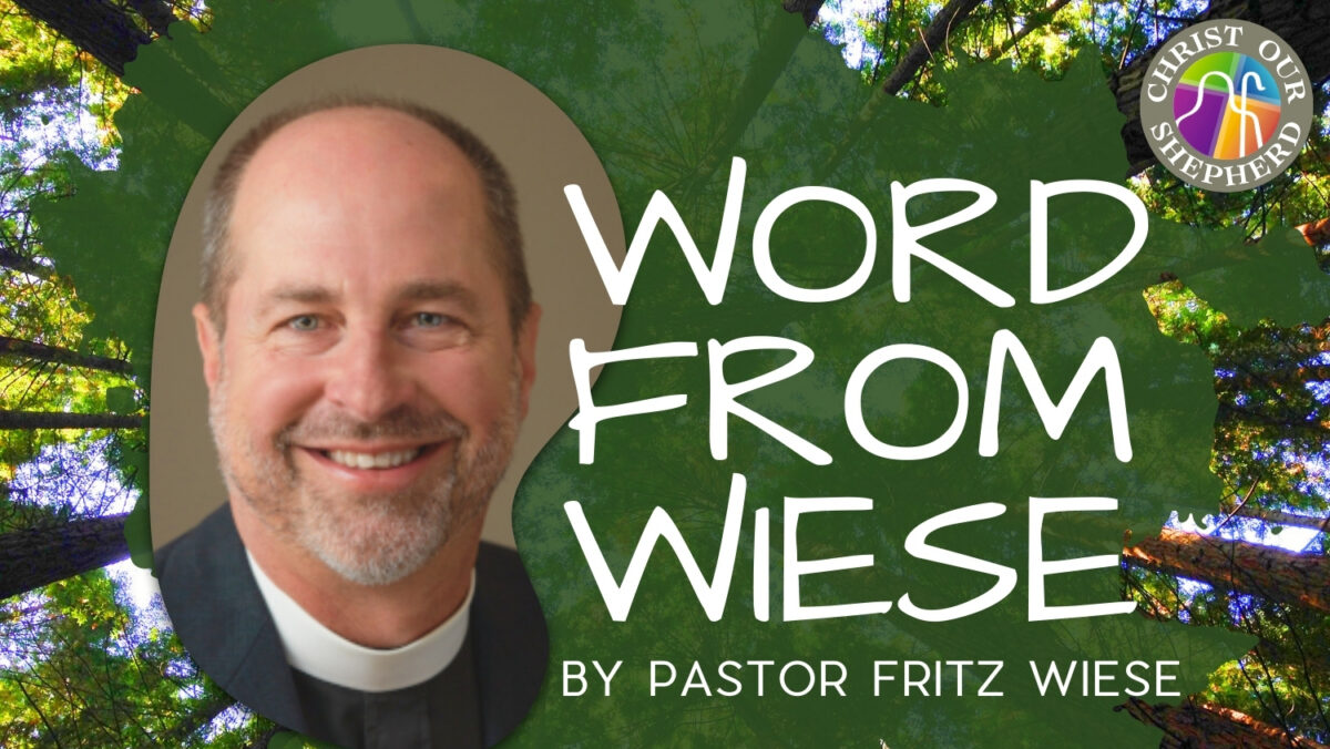 Word From Wiese Christ Our Shepherd Lutheran Church Hi Res 600 x 338